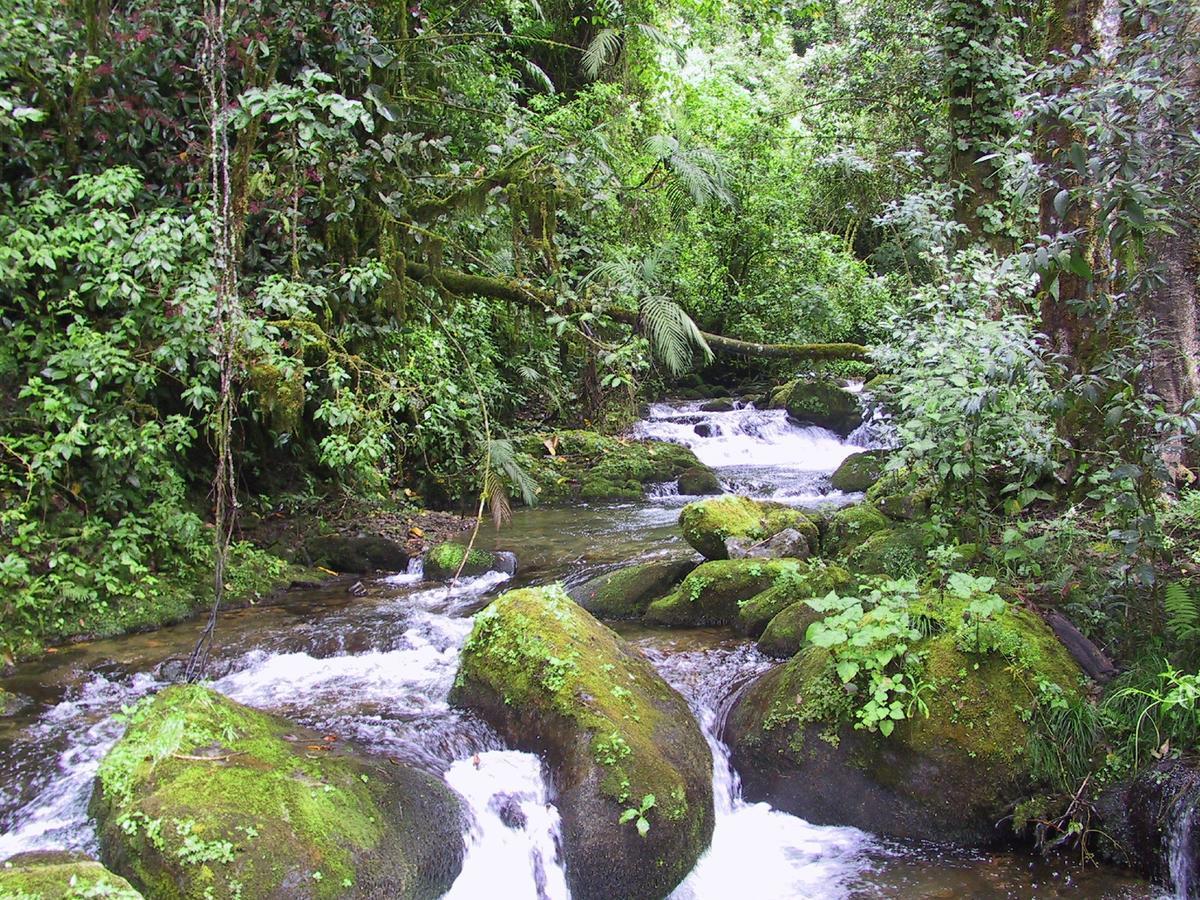 Quetzal Valley Cabins ซาน เจราร์โด  เด โดตา ภายนอก รูปภาพ
